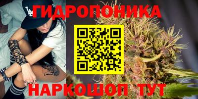 индика Славянск-на-Кубани