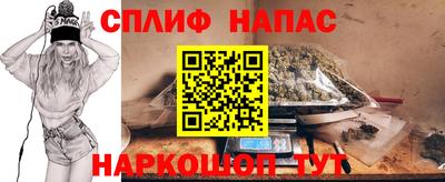мдпв Славгород
