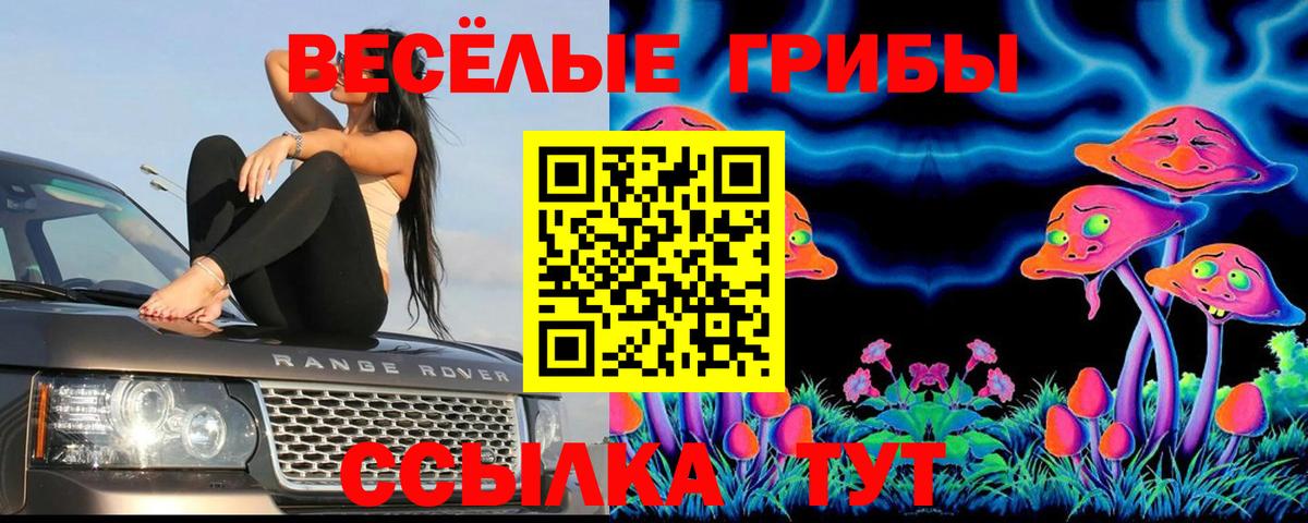 Галлюциногенные грибы MAGIC MUSHROOMS Норильск